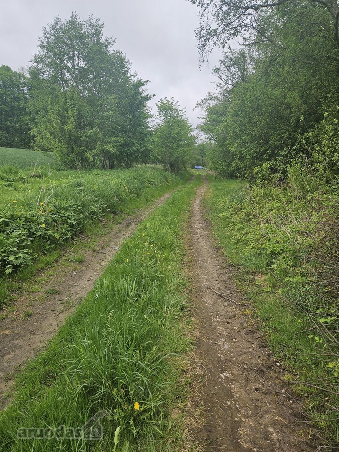 Nuomojamas žemės ūkio paskirties sklypas - nuotraukos Nr. 2