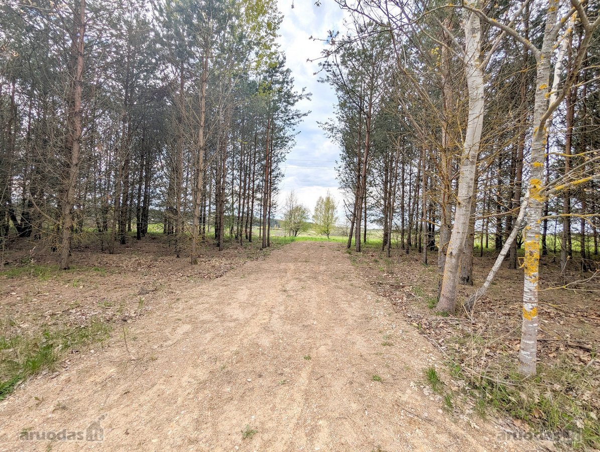 Parduodamas 70 arų namų valdos sklypas su - nuotraukos Nr. 5