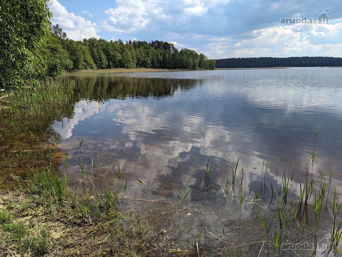 Parduodamas 70 arų namų valdos sklypas su - nuotraukos Nr. 8