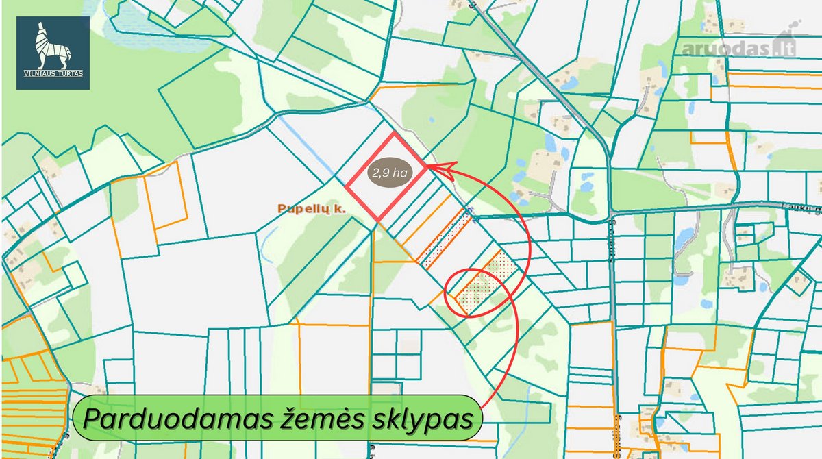 Parduodami Du Žemės Ūkio Paskirties Sklypai - nuotraukos Nr. 9