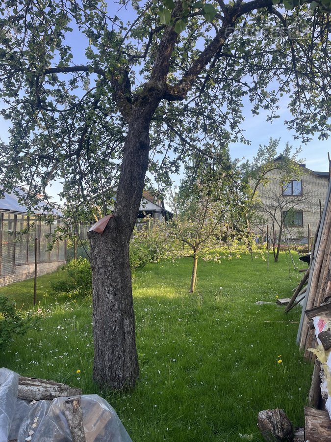 Parduodamas namukas ramioje vietoje, šalia - nuotraukos Nr. 7