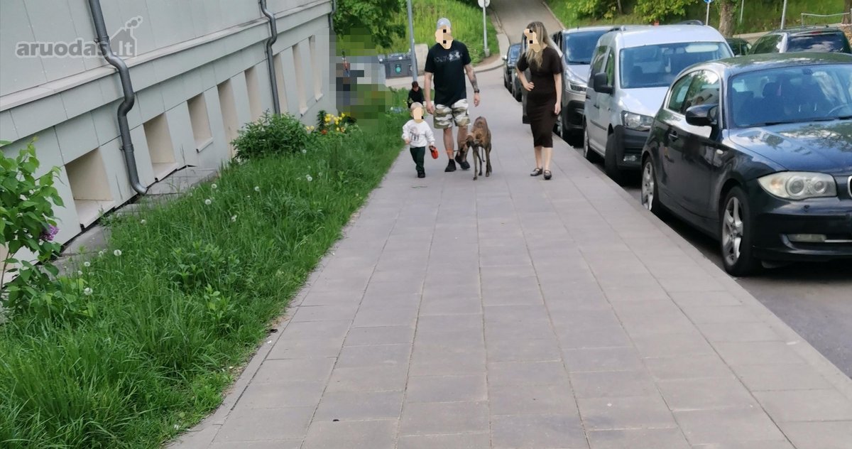 2-ų kambarių butas. Privatus nuosavas butas - nuotraukos Nr. 40