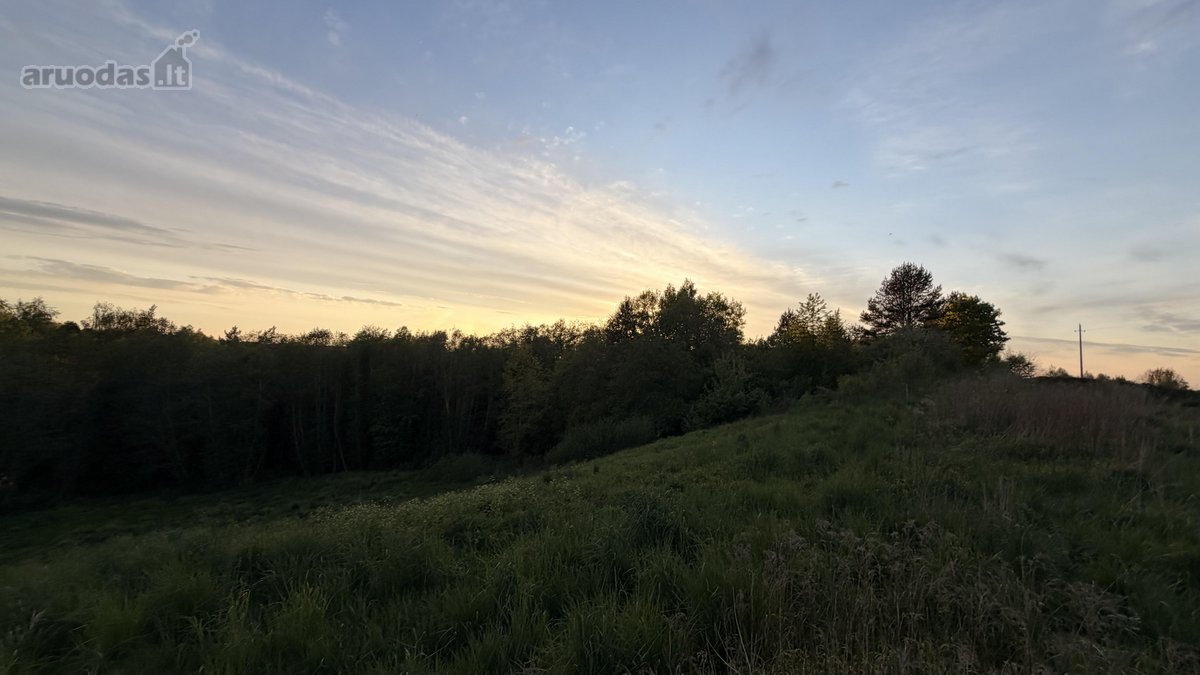 Jei pavargote nuo miesto triuksmo ir ieskote - nuotraukos Nr. 2