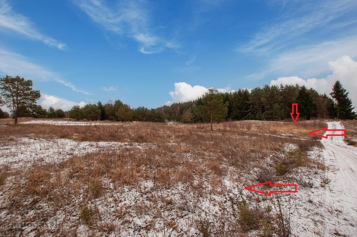 Parduodami 4 Sklypai 9 Km Nuo Trakų, Netoli - nuotraukos Nr. 12