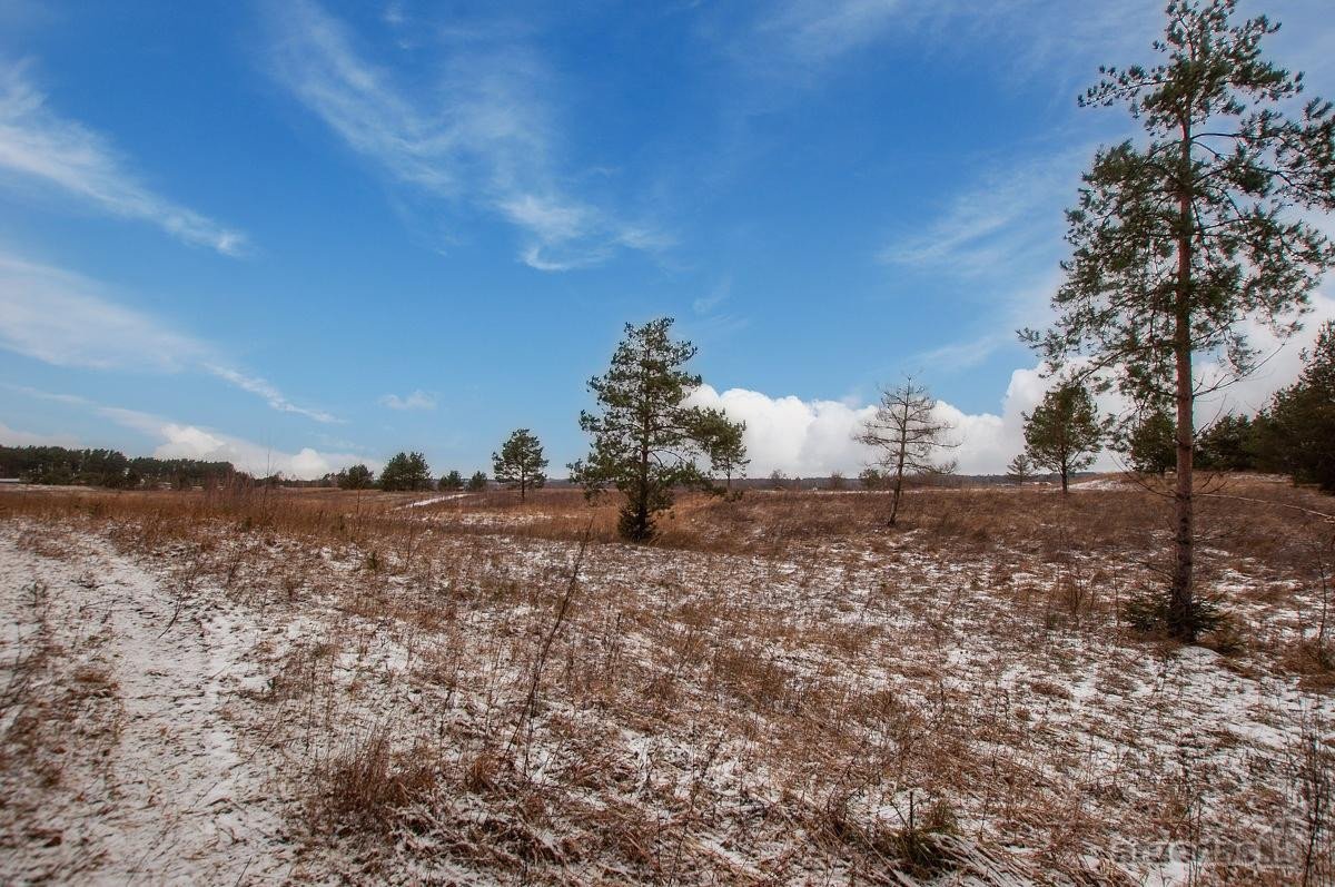 Parduodami 4 Sklypai 9 Km Nuo Trakų, Netoli - nuotraukos Nr. 14