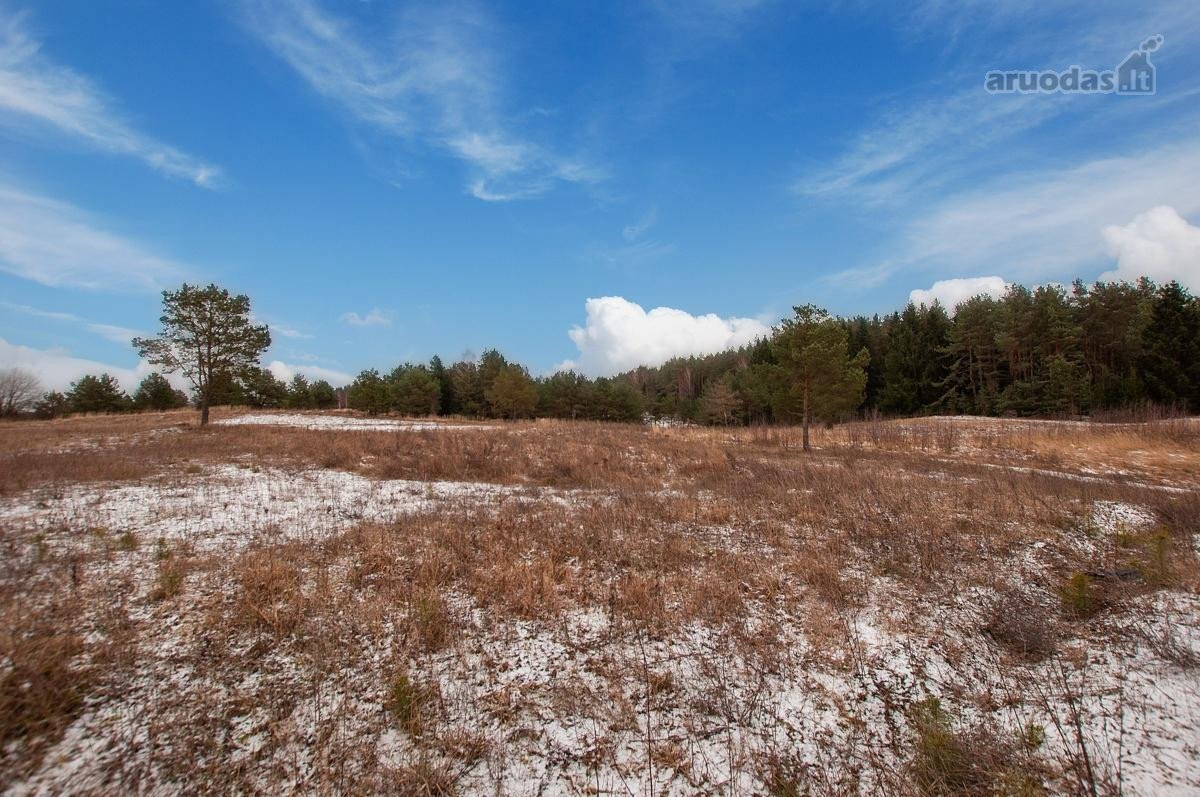 Parduodami 4 Sklypai 9 Km Nuo Trakų, Netoli - nuotraukos Nr. 15