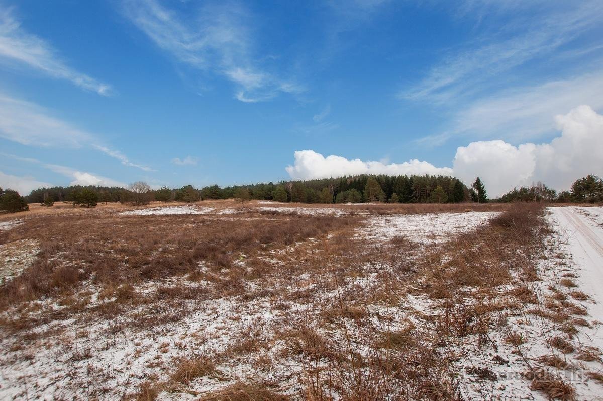 Parduodami 4 Sklypai 9 Km Nuo Trakų, Netoli - nuotraukos Nr. 17