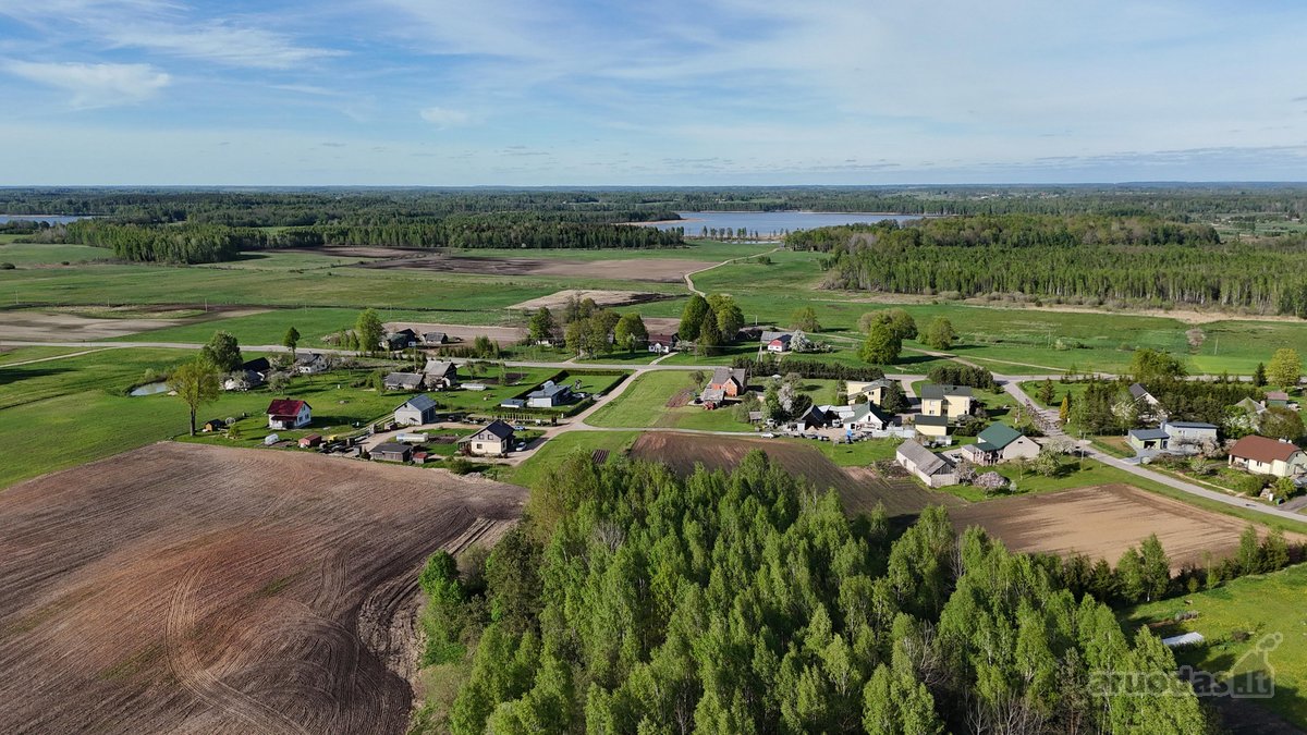 Parduodami du namų valdos sklypai, Kijėliuose. - nuotraukos Nr. 6