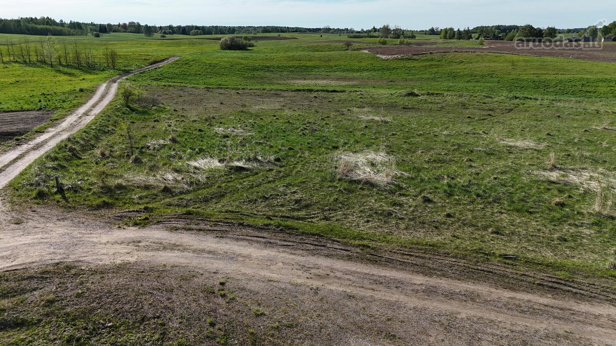 Parduodami du namų valdos sklypai, Kijėliuose. - nuotraukos Nr. 8