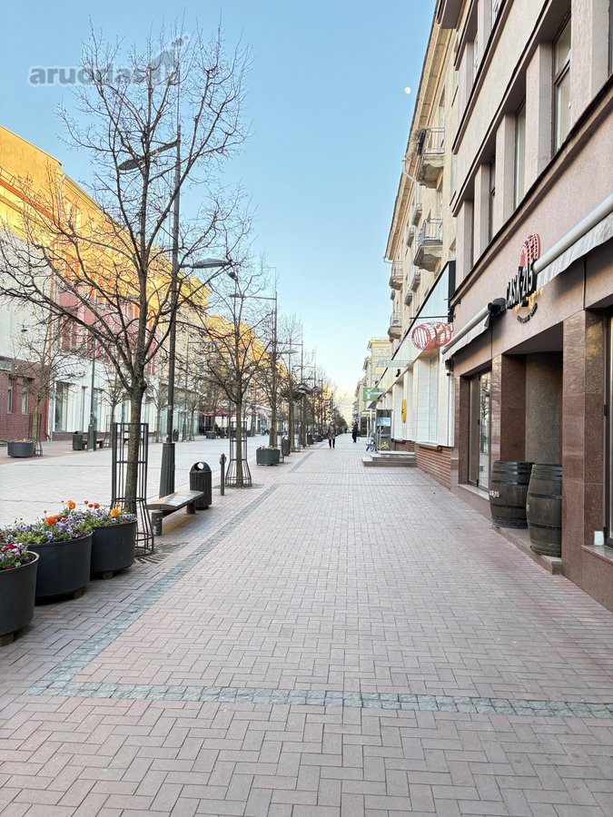 Parduodamas dviejų kambarių butas pilnai - nuotraukos Nr. 17