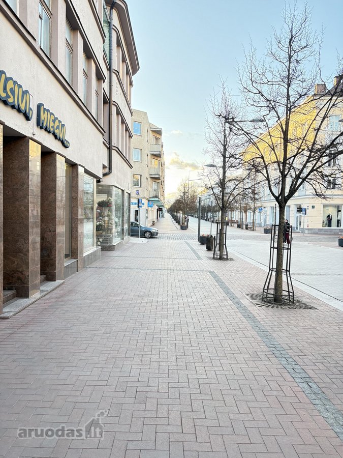 Parduodamas dviejų kambarių butas pilnai - nuotraukos Nr. 18