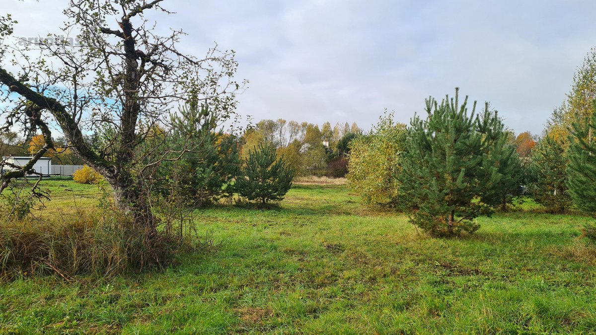Parduodami 3 Namų Valdos Sklypai: Vilniaus r. - nuotraukos Nr. 15