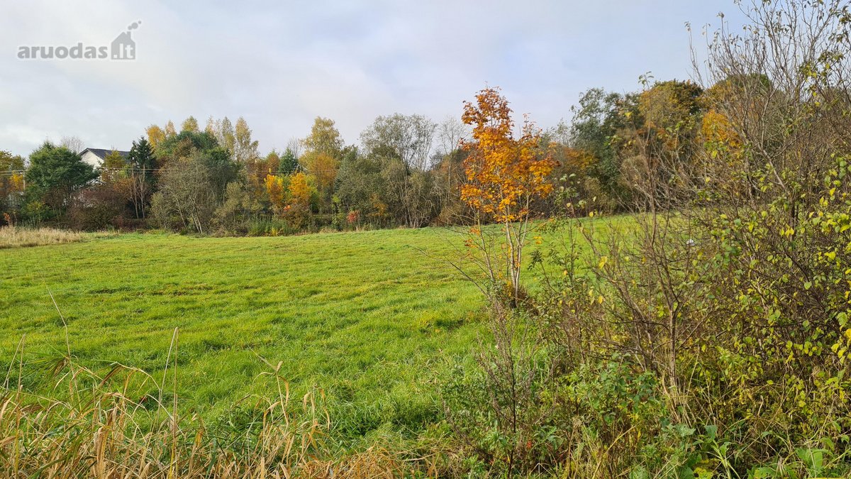 Parduodami 3 Namų Valdos Sklypai: Vilniaus r. - nuotraukos Nr. 19