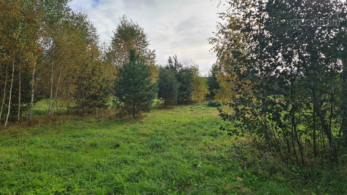 Parduodami 3 Namų Valdos Sklypai: Vilniaus r. - nuotraukos Nr. 20