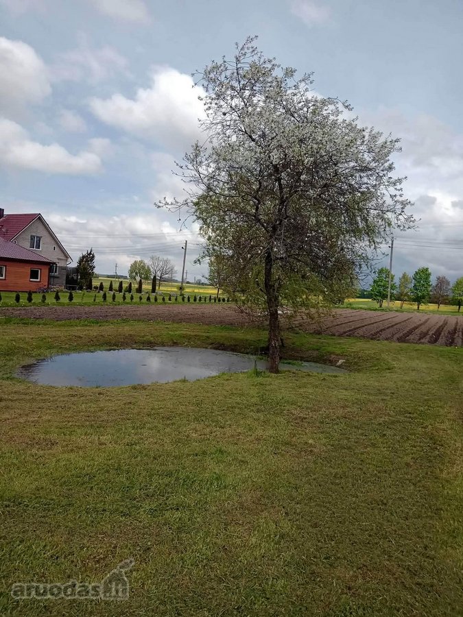 Parduodama sodyba Šilalės rajono - nuotraukos Nr. 5