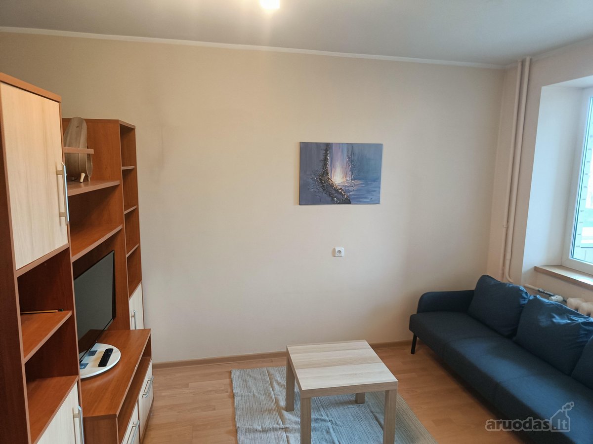 Nuomojamas Jaukus 1 Kambario Butas Žaliųjų - nuotraukos Nr. 3