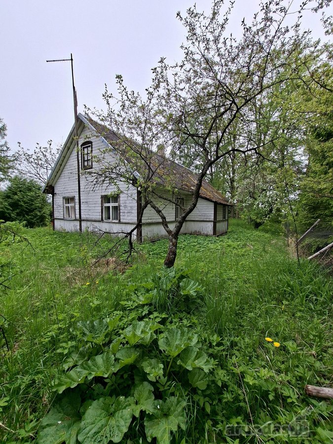 Parduodama sodyba birzu rajone iskoniu kaime - nuotraukos Nr. 6