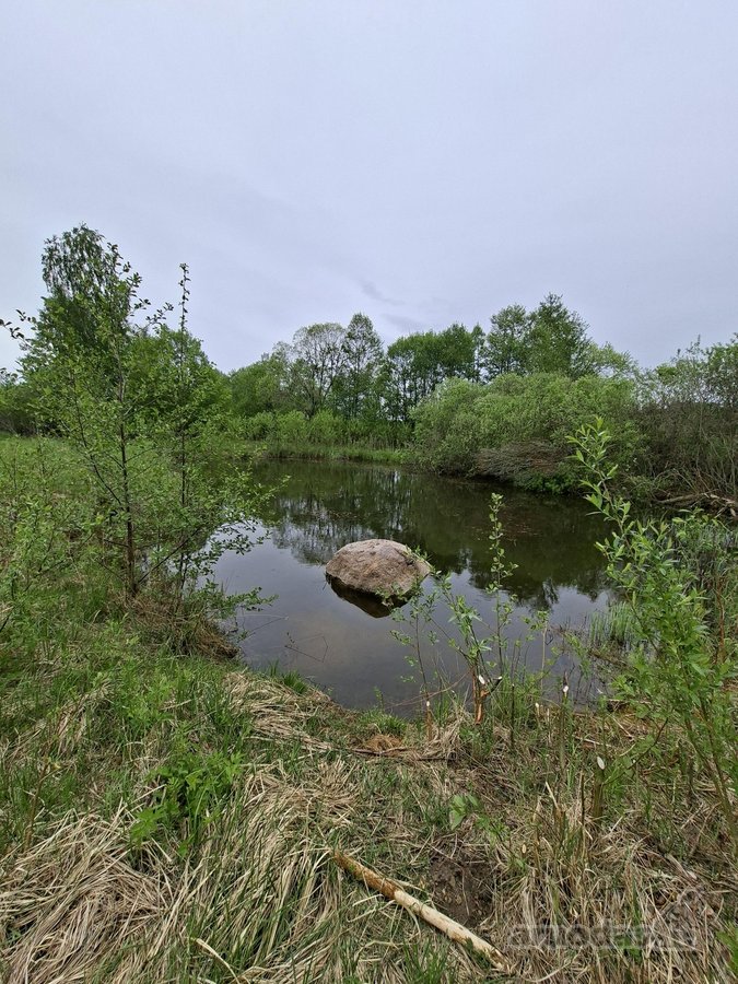 Parduodama sodyba birzu rajone iskoniu kaime - nuotraukos Nr. 14
