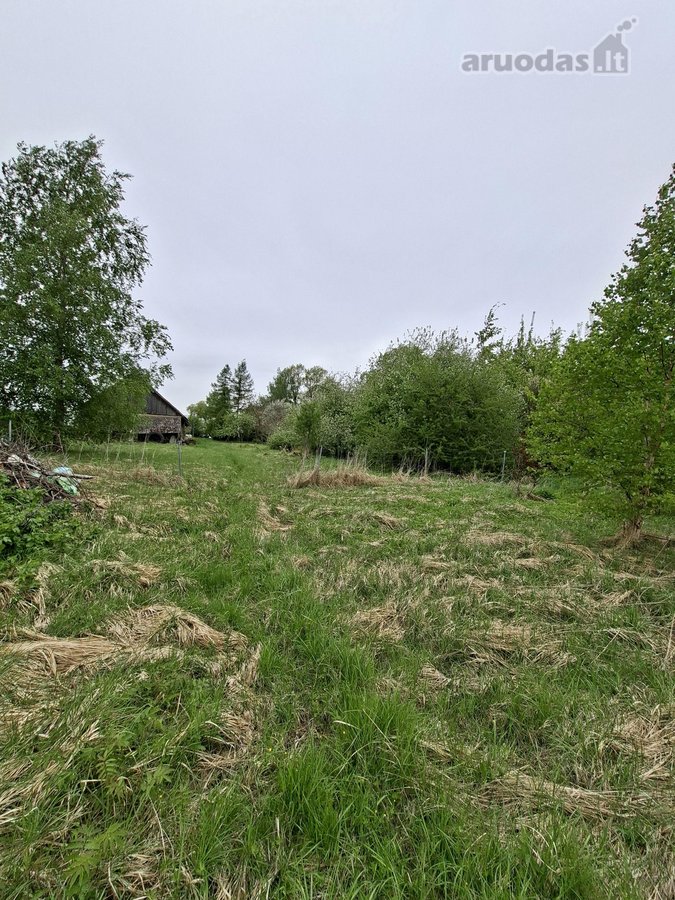Parduodama sodyba birzu rajone iskoniu kaime - nuotraukos Nr. 15