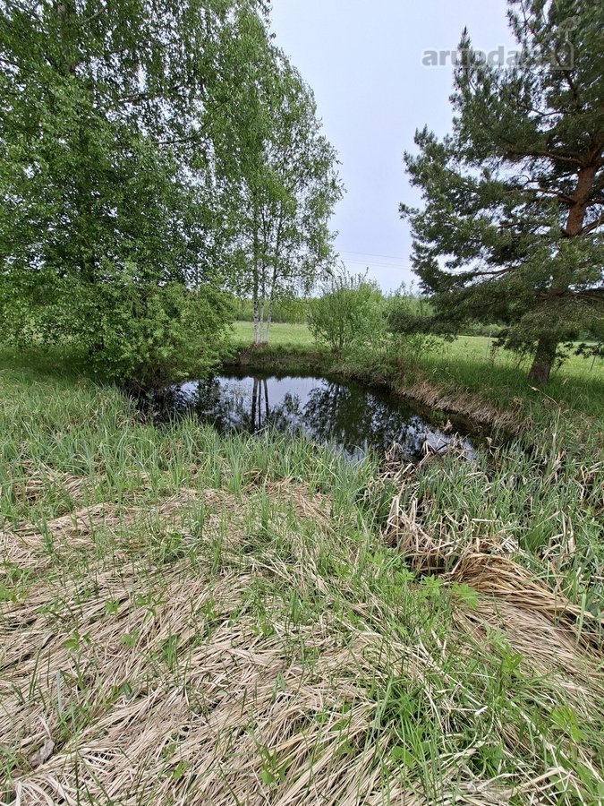 Parduodama sodyba birzu rajone iskoniu kaime - nuotraukos Nr. 16