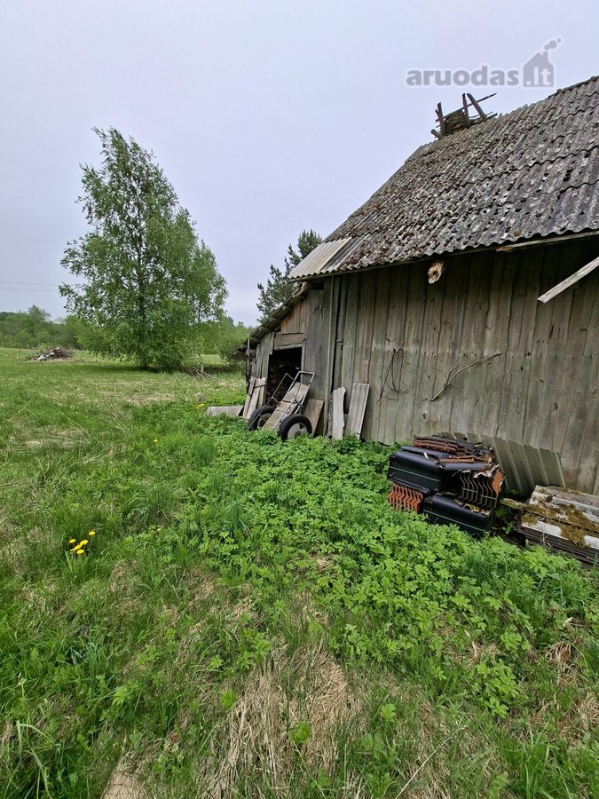 Parduodama sodyba birzu rajone iskoniu kaime - nuotraukos Nr. 17