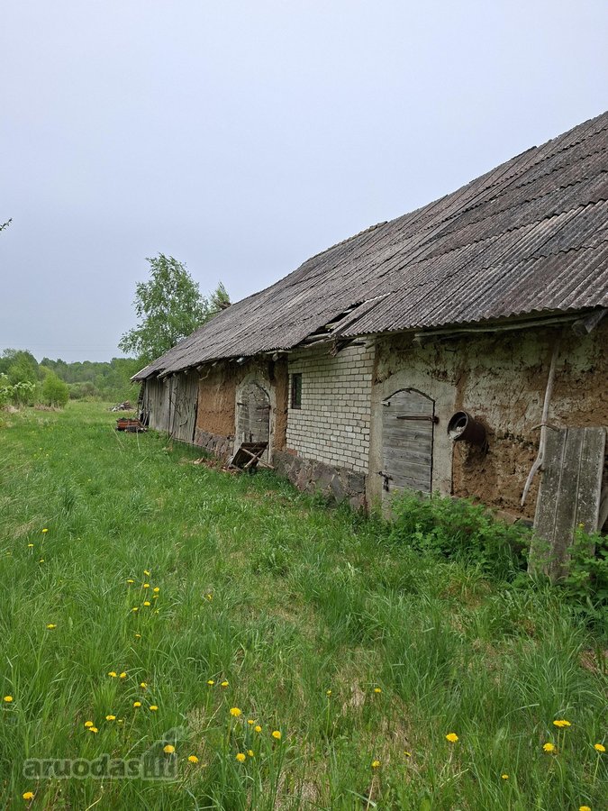 Parduodama sodyba birzu rajone iskoniu kaime - nuotraukos Nr. 19