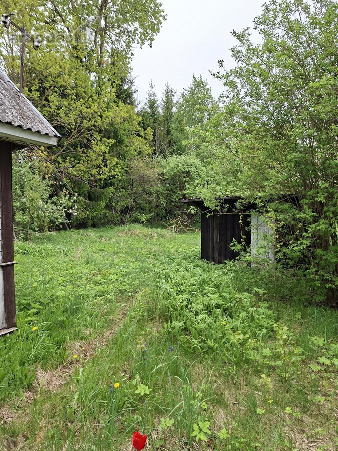 Parduodama sodyba birzu rajone iskoniu kaime - nuotraukos Nr. 21