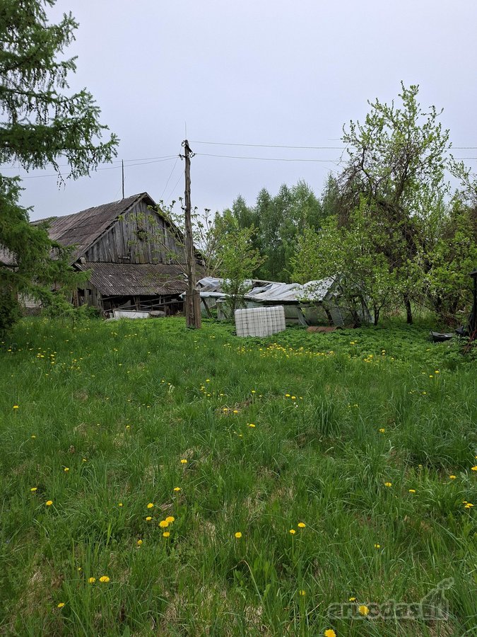 Parduodama sodyba birzu rajone iskoniu kaime - nuotraukos Nr. 25
