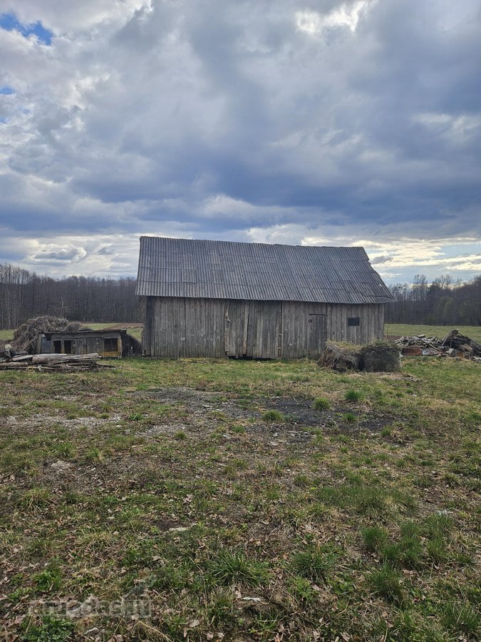 Parduodama sodyba Lazdijų raj., Noragėlių sen - nuotraukos Nr. 5