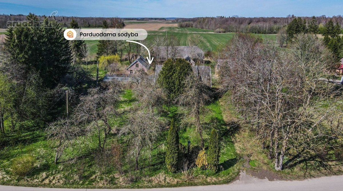 Parduodama erdvi sodyba ramioje kaimiškoje - nuotraukos Nr. 4