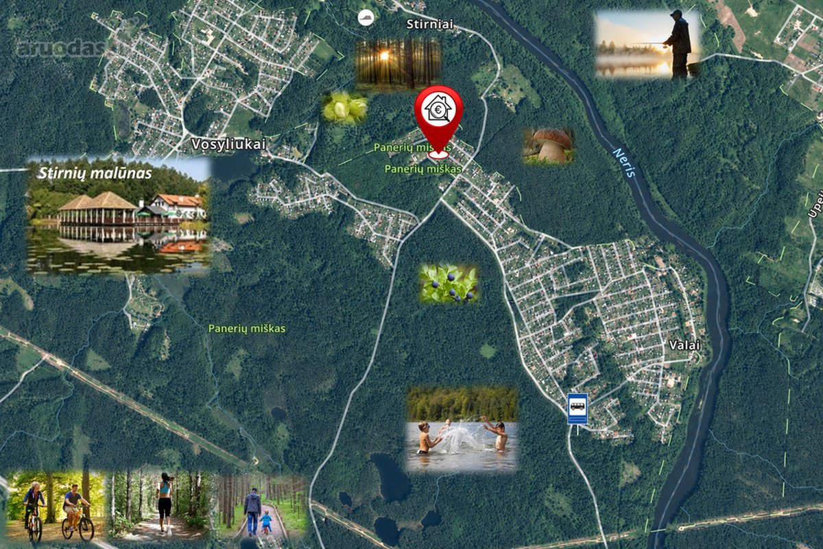 Gaivus oras, ramybė ir visos pramogos gamtoje - nuotraukos Nr. 24