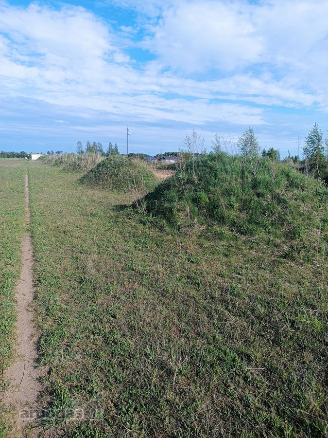 Parduodamas namų valdos sklypas Radailiuose, - nuotraukos Nr. 10