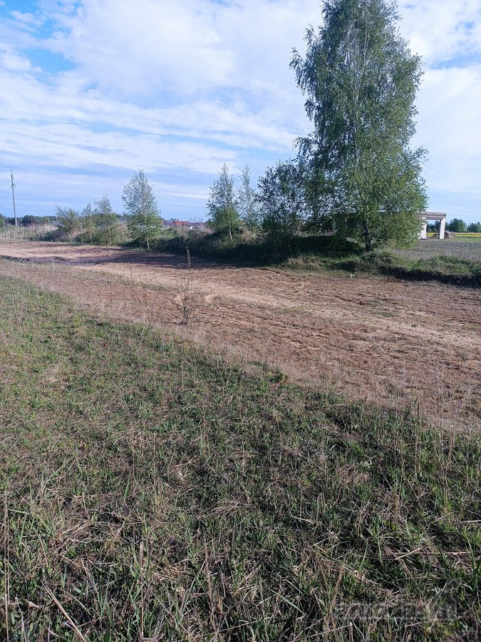 Parduodamas namų valdos sklypas Radailiuose, - nuotraukos Nr. 12