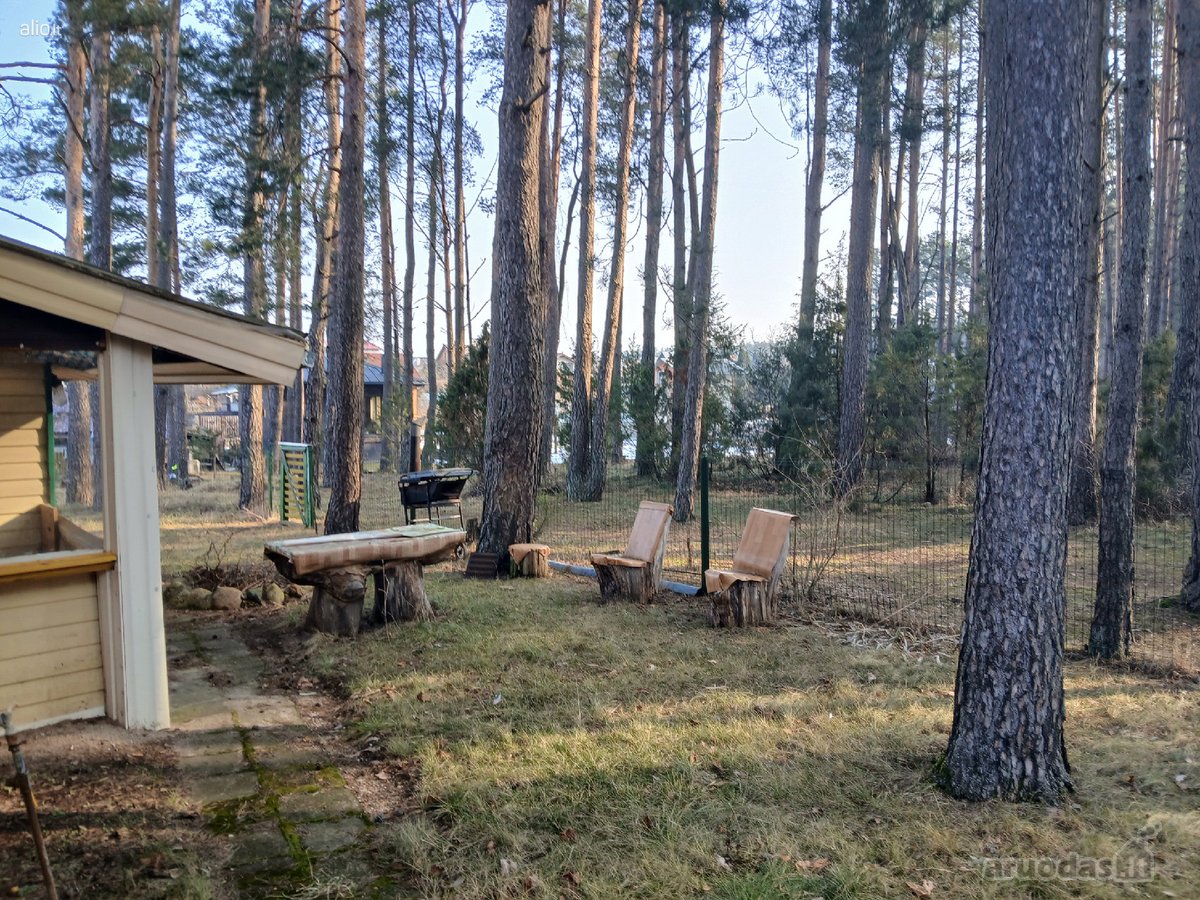 Druskininkų sav., sodų bendrijoje " Dainava " - nuotraukos Nr. 6