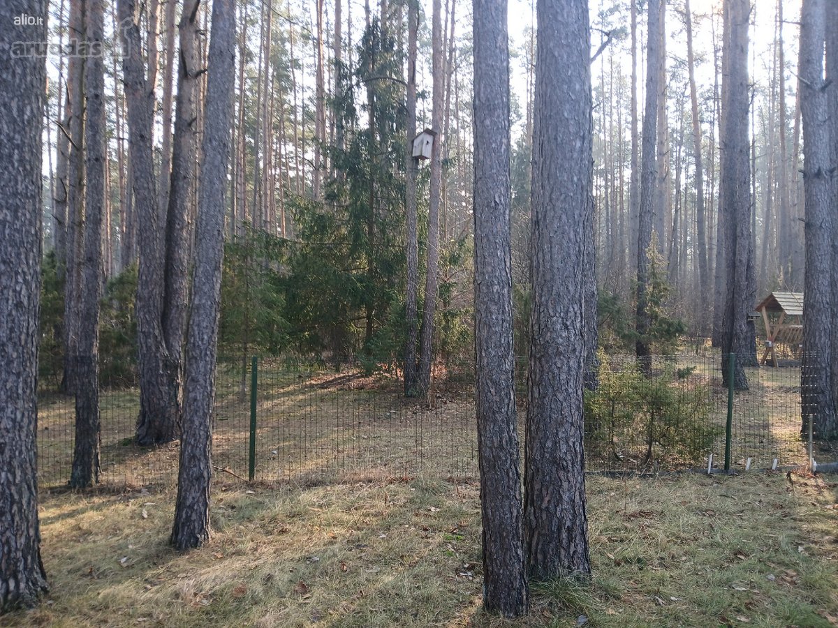 Druskininkų sav., sodų bendrijoje " Dainava " - nuotraukos Nr. 10