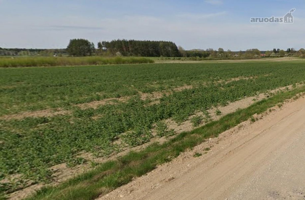 Parduodamas 3 ha žemės ūkio paskirties