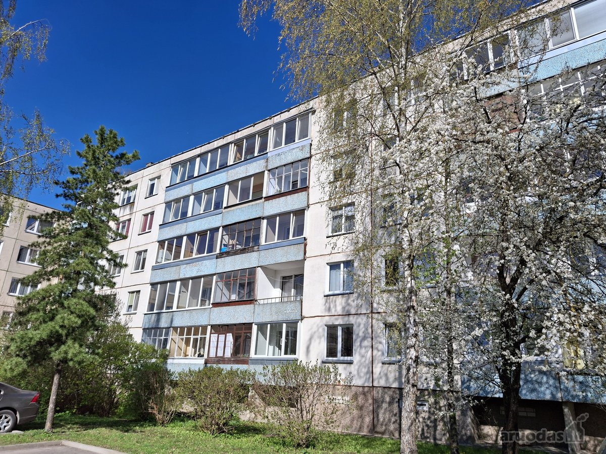 1 kambarių butas su rūsiu
