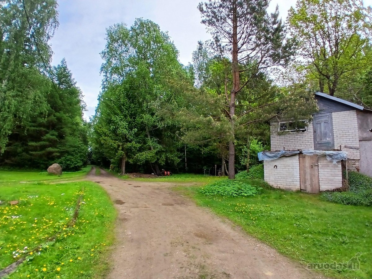Parduodama sodyba vienkiemis miške (su 3ha - nuotraukos Nr. 3