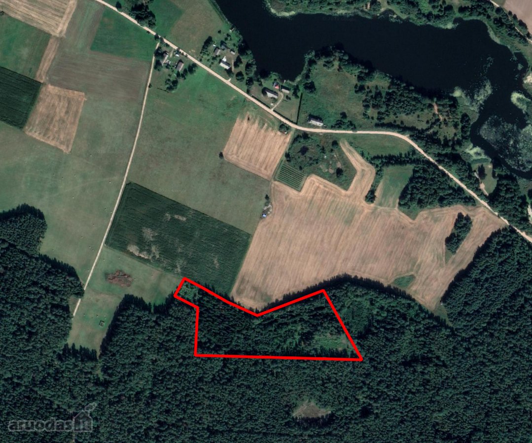 Mišrus miškas 3,82 ha Ramoniškių kaime