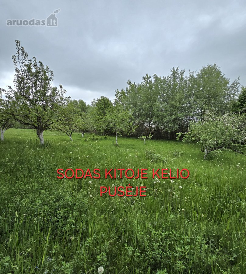 Du dideli kaštonai prie namo tampa tikru šios - nuotraukos Nr. 23