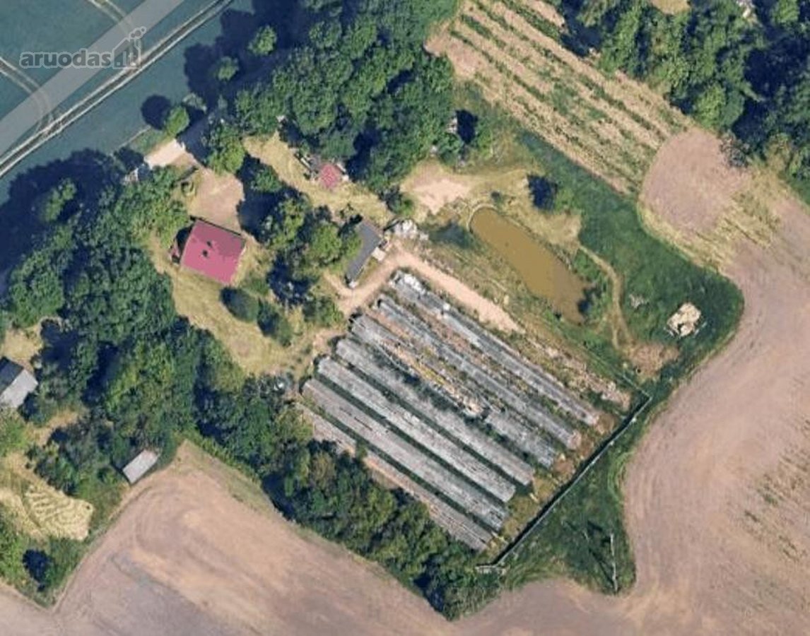 Parduodama sodyba su dideliu žemės sklypu 87a - nuotraukos Nr. 12
