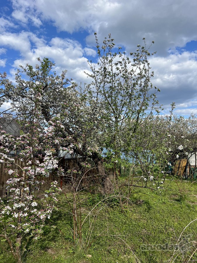 Parduodamas Jaukus Ir Kokybiškas Rąstinis - nuotraukos Nr. 27