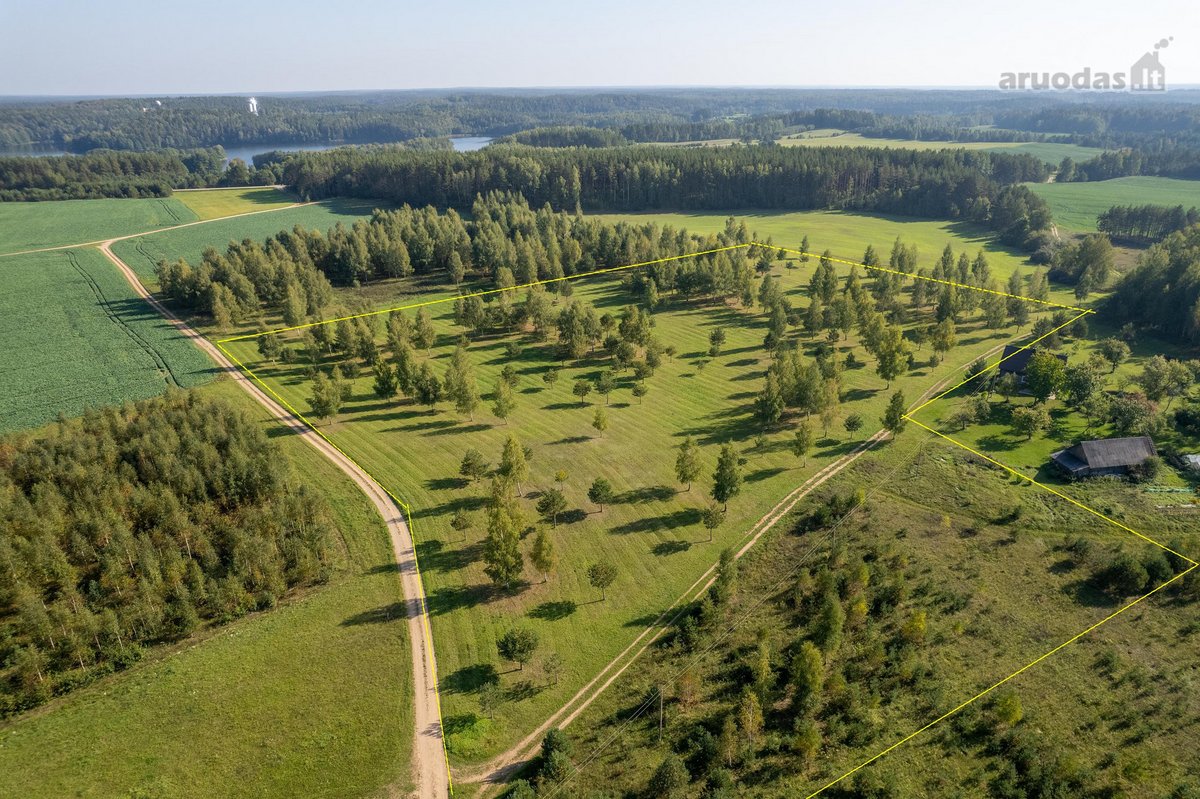 Sklypas Molėtų rajone, Želvų kaime;