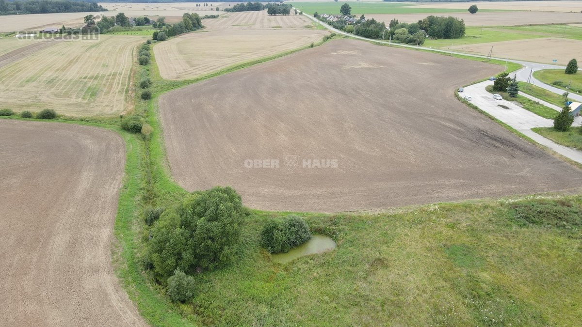 Parduodamas 4,43 ha sklypas Kauno rajone, - nuotraukos Nr. 11