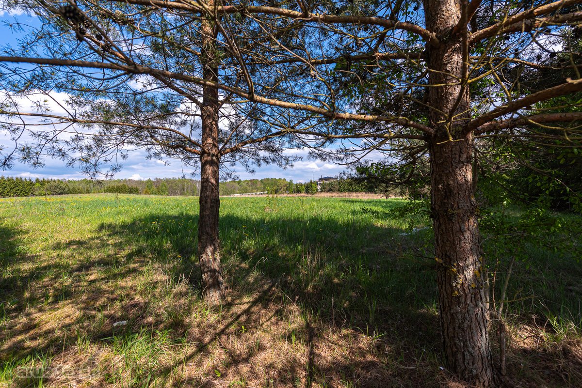 Užugriovio kaime parduodamas 3,1 ha žemės - nuotraukos Nr. 23