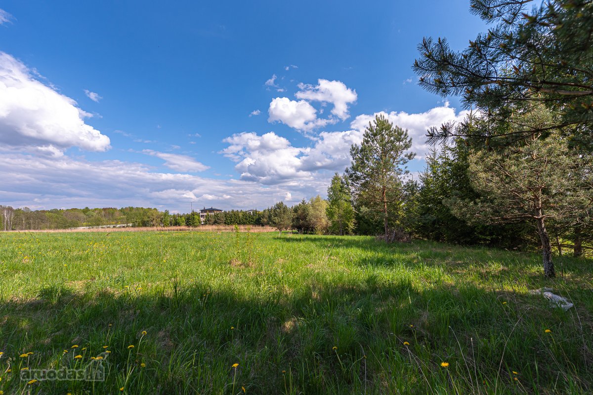 Užugriovio kaime parduodamas 3,1 ha žemės - nuotraukos Nr. 15