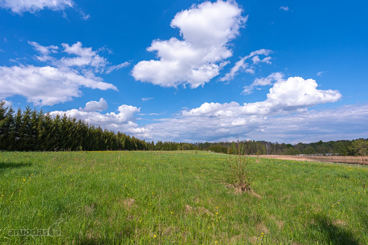 Užugriovio kaime parduodamas 3,1 ha žemės - nuotraukos Nr. 16