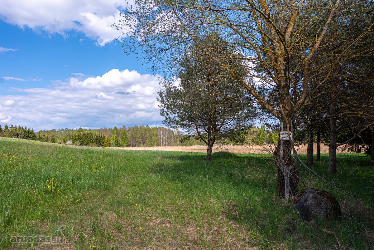 Užugriovio kaime parduodamas 3,1 ha žemės - nuotraukos Nr. 17
