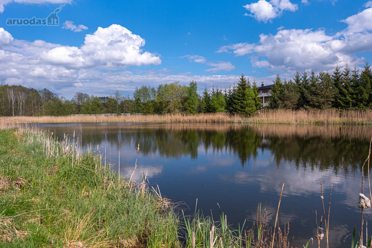 Užugriovio kaime parduodamas 3,1 ha žemės - nuotraukos Nr. 18