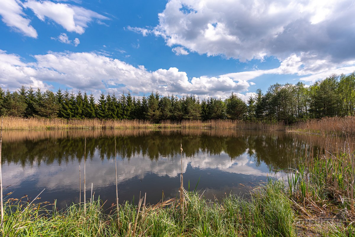 Užugriovio kaime parduodamas 3,1 ha žemės - nuotraukos Nr. 19